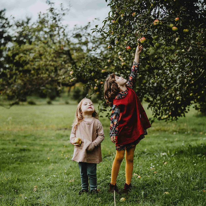 Kerstin børneforklæde (kirsebær)